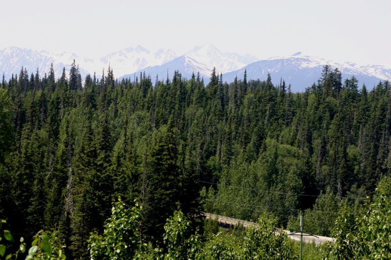 062004 P Rupert to Hyder AK (10142)